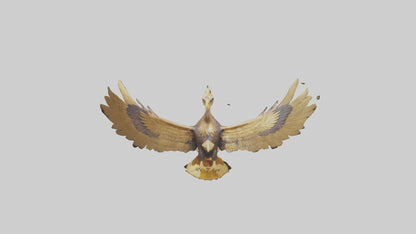 3D model Golden Eagle Wings Model VR / AR / low-poly