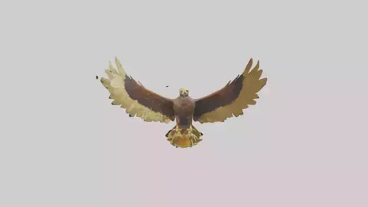 3D model Golden Eagle Wings Model VR / AR / low-poly