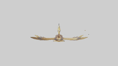 3D model Golden Eagle Wings Model VR / AR / low-poly