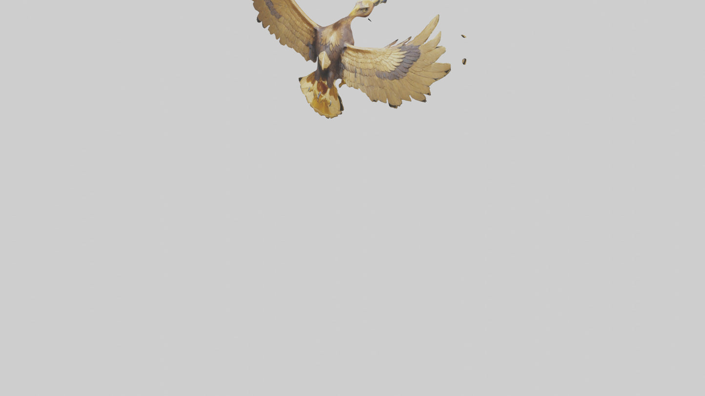 3D model Golden Eagle Wings Model VR / AR / low-poly
