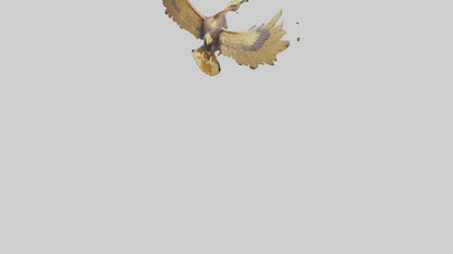 3D model Golden Eagle Wings Model VR / AR / low-poly