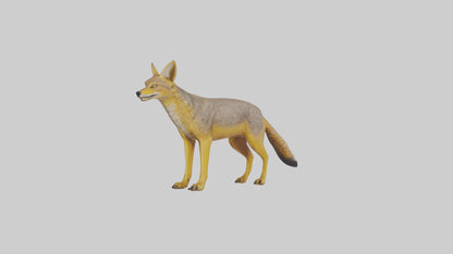 3D model Golden Jackal standing model VR / AR / low-poly