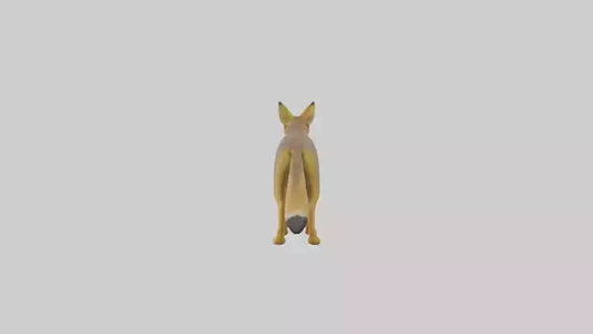 3D model Golden Jackal standing model VR / AR / low-poly