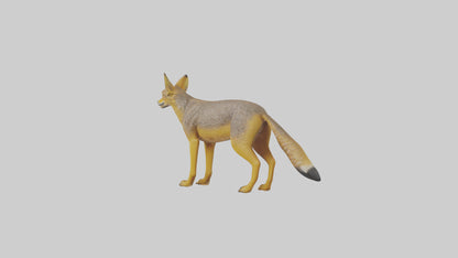 3D model Golden Jackal standing model VR / AR / low-poly