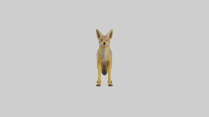 3D model Golden Jackal standing model VR / AR / low-poly