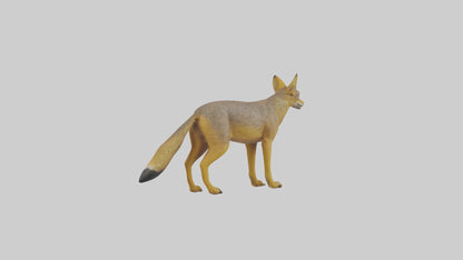 3D model Golden Jackal standing model VR / AR / low-poly