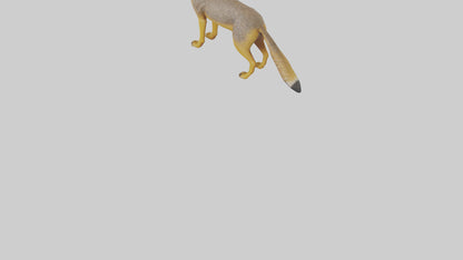 3D model Golden Jackal standing model VR / AR / low-poly