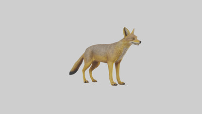 3D model Golden Jackal standing model VR / AR / low-poly