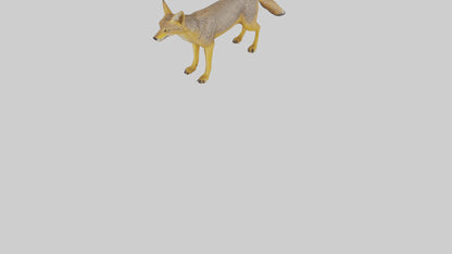 3D model Golden Jackal standing model VR / AR / low-poly
