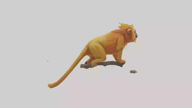 3D model Golden Lion Tamarin holding branch model VR / AR / low-poly