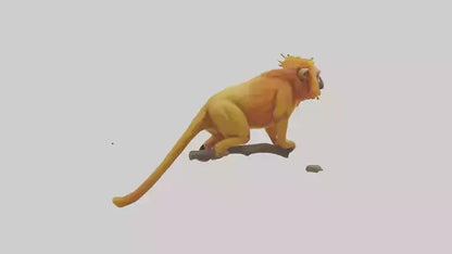 3D model Golden Lion Tamarin holding branch model VR / AR / low-poly