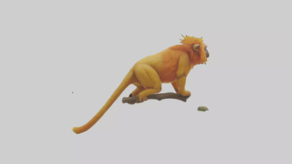 3D model Golden Lion Tamarin holding branch model VR / AR / low-poly