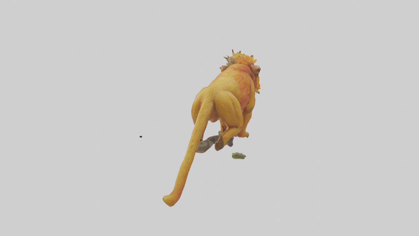 3D model Golden Lion Tamarin holding branch model VR / AR / low-poly