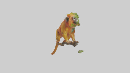 3D model Golden Lion Tamarin holding branch model VR / AR / low-poly