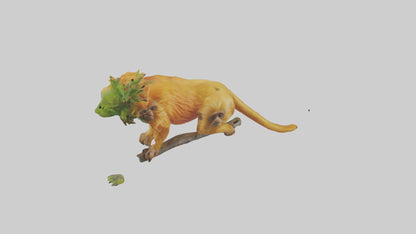 3D model Golden Lion Tamarin holding branch model VR / AR / low-poly