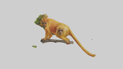 3D model Golden Lion Tamarin holding branch model VR / AR / low-poly