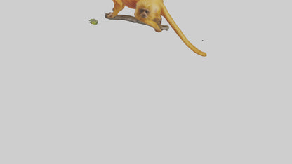 3D model Golden Lion Tamarin holding branch model VR / AR / low-poly