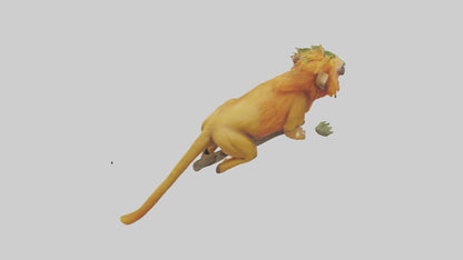 3D model Golden Lion Tamarin holding branch model VR / AR / low-poly