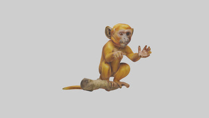 3D model Golden Lion Tamarin playing model VR / AR / low-poly