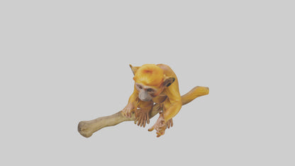 3D model Golden Lion Tamarin playing model VR / AR / low-poly