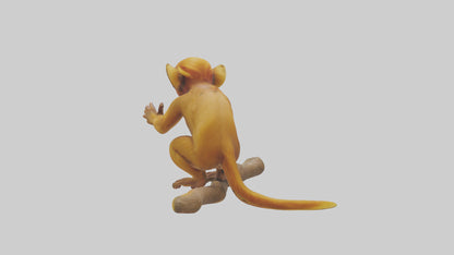3D model Golden Lion Tamarin playing model VR / AR / low-poly