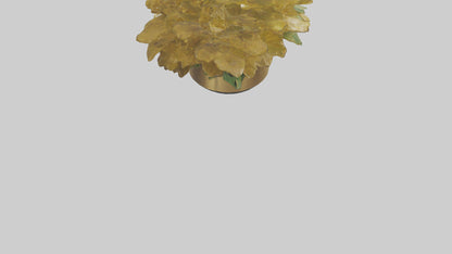 3D model Golden Maranta model VR / AR / low-poly