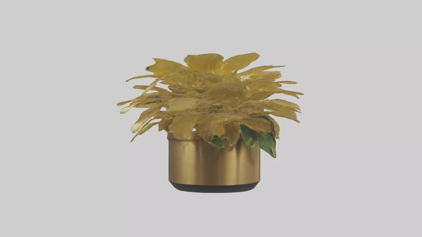 3D model Golden Maranta model VR / AR / low-poly