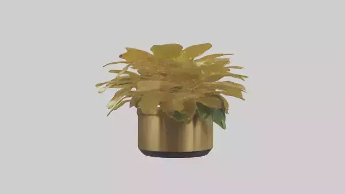 3D model Golden Maranta model VR / AR / low-poly