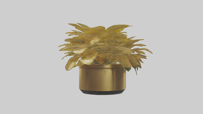 3D model Golden Maranta model VR / AR / low-poly