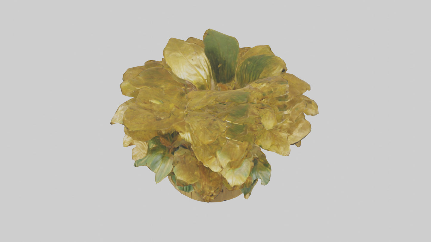 3D model Golden Maranta model VR / AR / low-poly