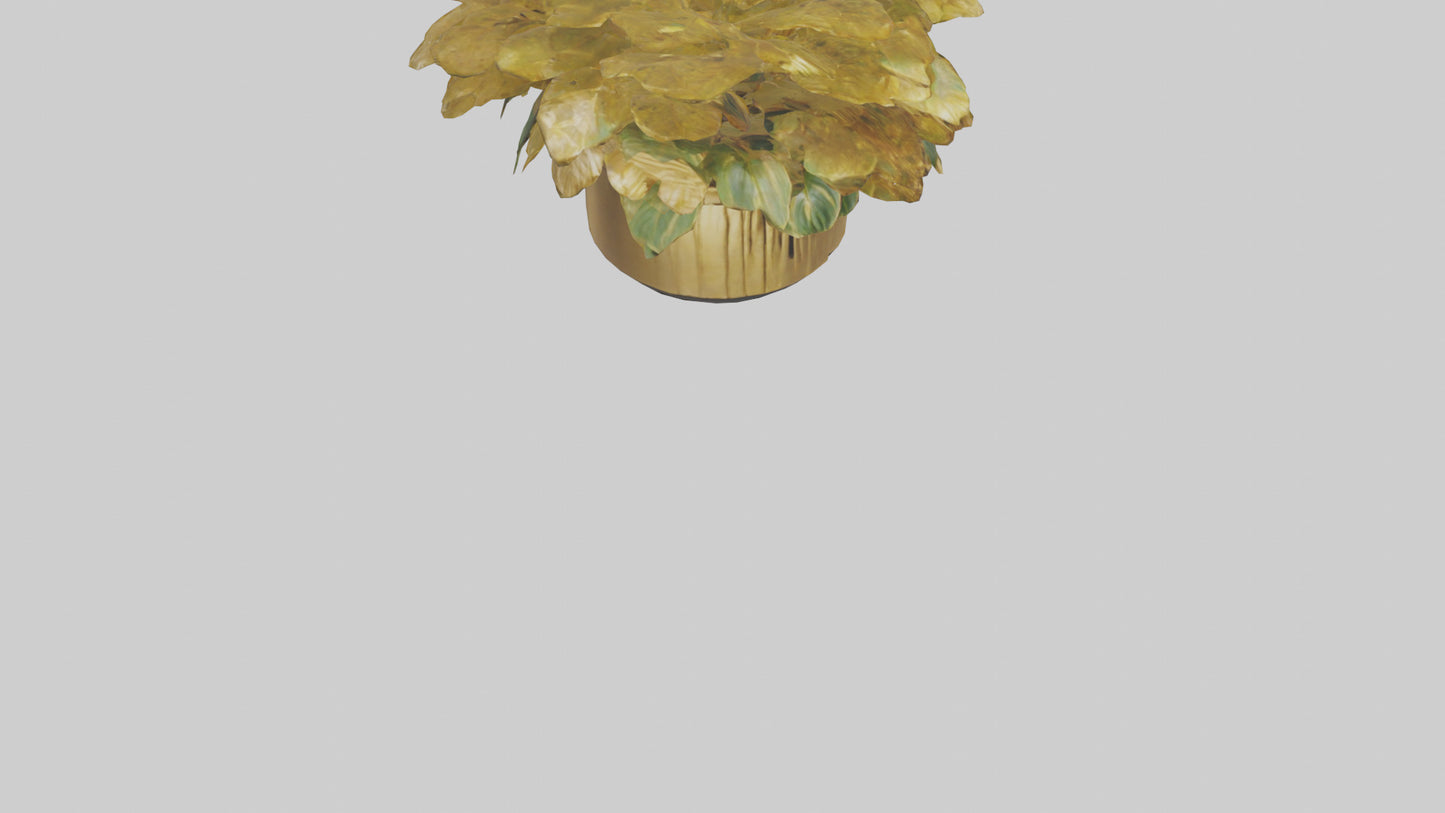 3D model Golden Maranta model VR / AR / low-poly