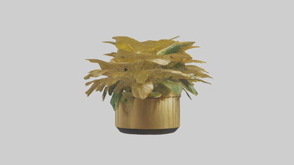 3D model Golden Maranta model VR / AR / low-poly