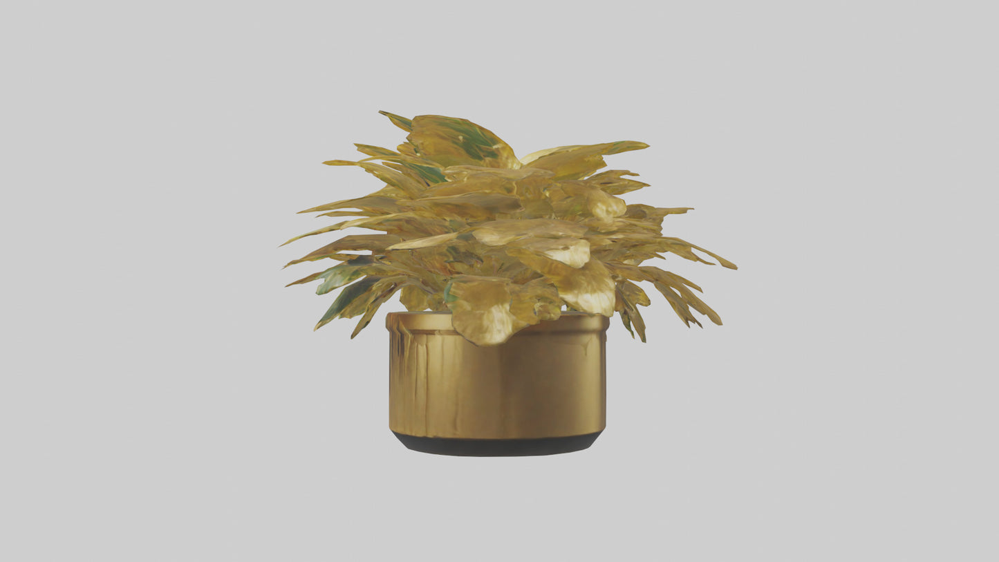 3D model Golden Maranta model VR / AR / low-poly