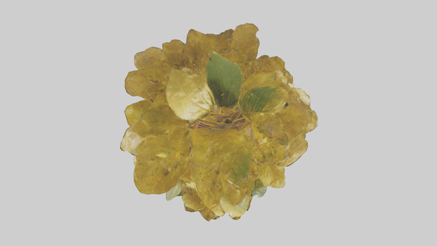 3D model Golden Maranta model VR / AR / low-poly