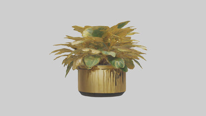 3D model Golden Maranta model VR / AR / low-poly