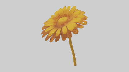 Golden Marigold model VR / AR / low-poly