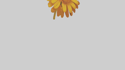 Golden Marigold model VR / AR / low-poly