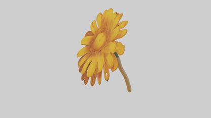 Golden Marigold model VR / AR / low-poly