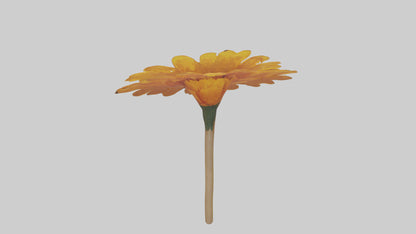 Golden Marigold model VR / AR / low-poly