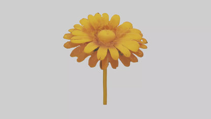 Golden Marigold model VR / AR / low-poly