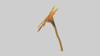 Golden Marigold model VR / AR / low-poly