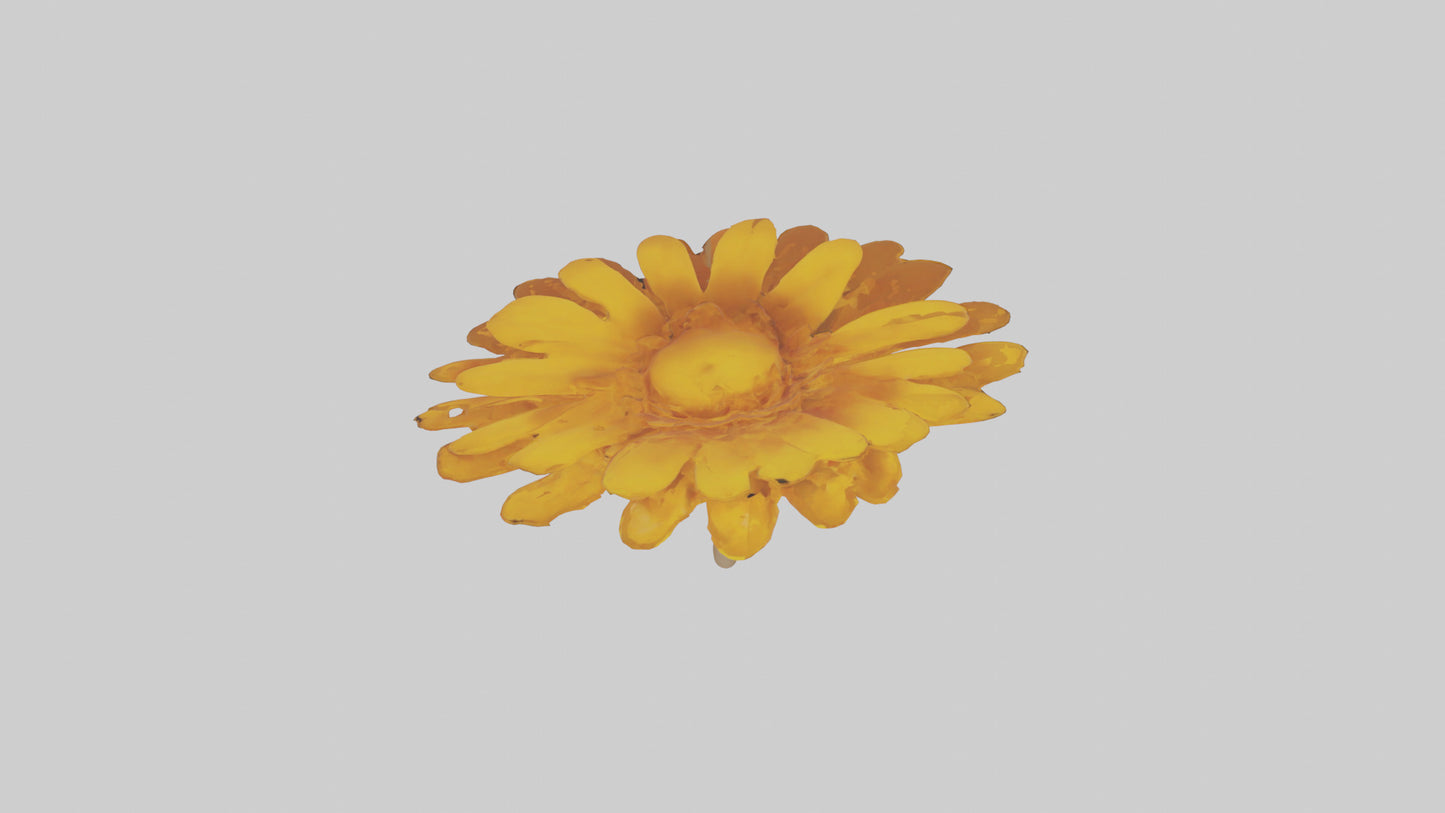 Golden Marigold model VR / AR / low-poly