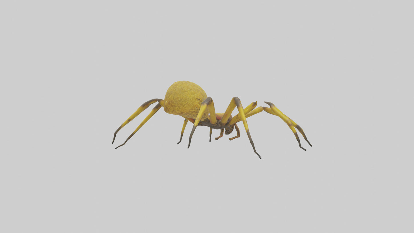 3D model Golden OrbWeaver weaving web model VR / AR / low-poly