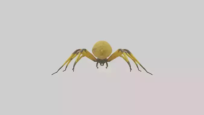 3D model Golden OrbWeaver weaving web model VR / AR / low-poly