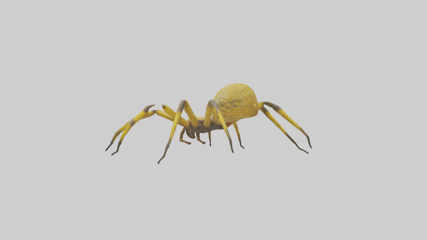 3D model Golden OrbWeaver weaving web model VR / AR / low-poly