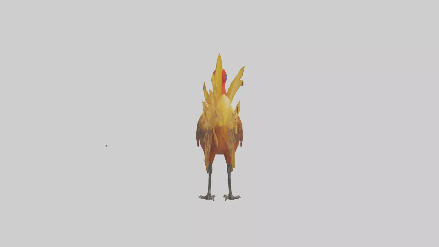 3D model Golden Pheasant displaying model VR / AR / low-poly