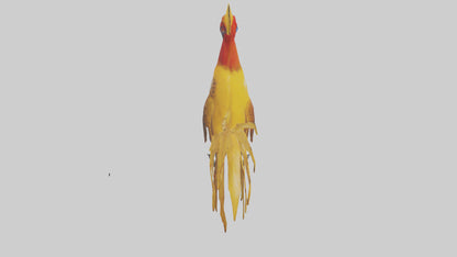3D model Golden Pheasant displaying model VR / AR / low-poly
