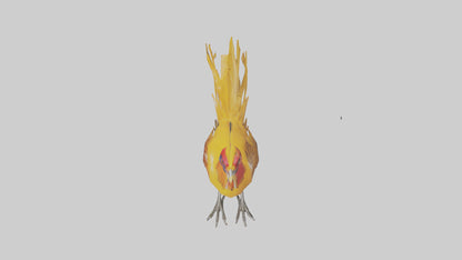 3D model Golden Pheasant displaying model VR / AR / low-poly
