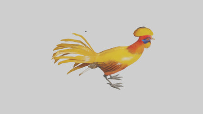 3D model Golden Pheasant displaying model VR / AR / low-poly