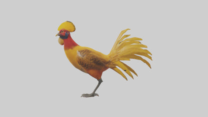 3D model Golden Pheasant displaying model VR / AR / low-poly
